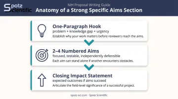 Three-part specific aims structure for research grant proposal writing