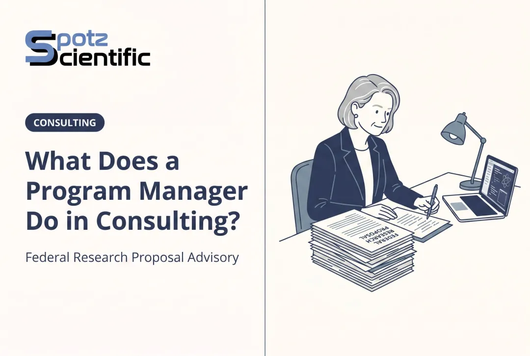 What Does a Program Manager Do in Consulting?