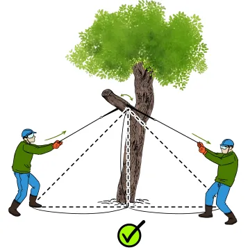 Outdoor, Survival & Camping