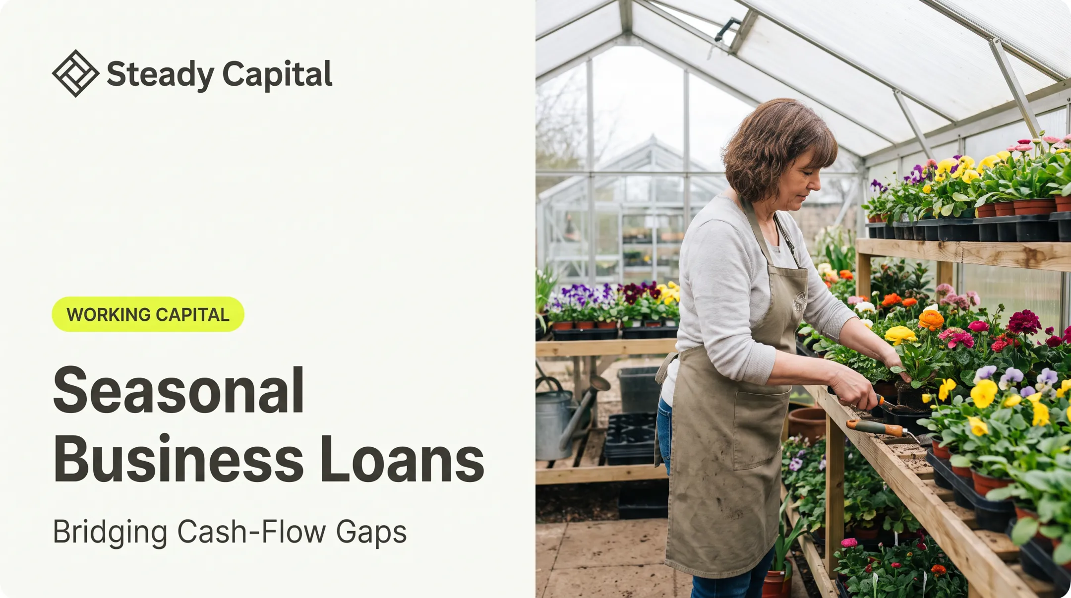 Seasonal Business Loans