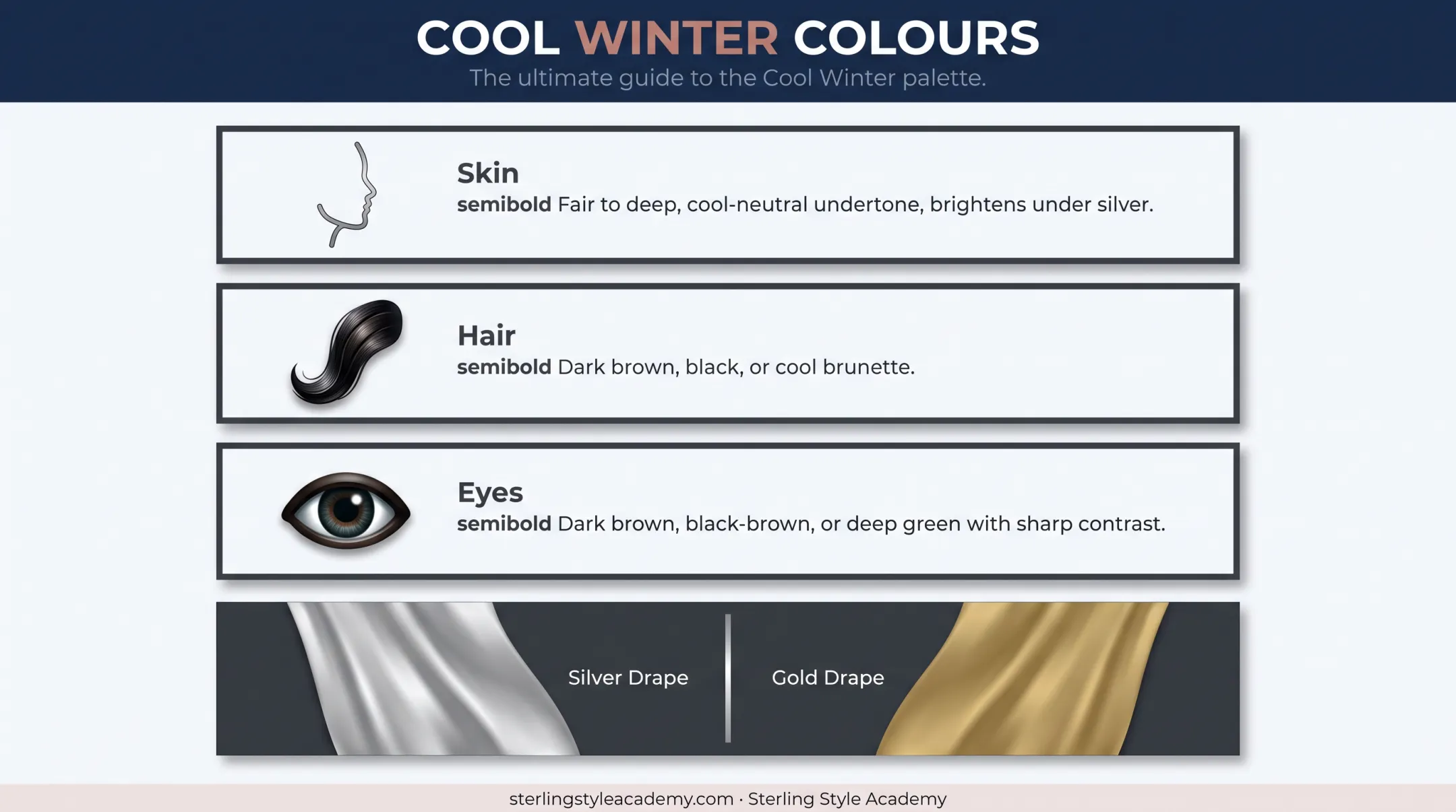 Dark Winter characteristics chart showing skin hair and eye traits