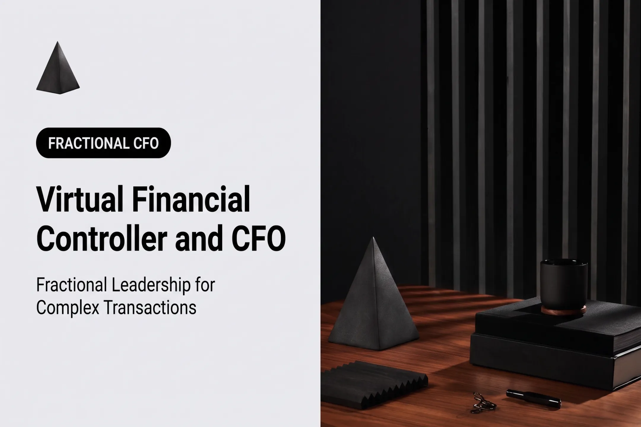 Virtual Financial Controller and CFO