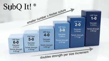 Infographic