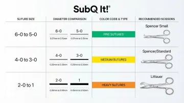 Infographic