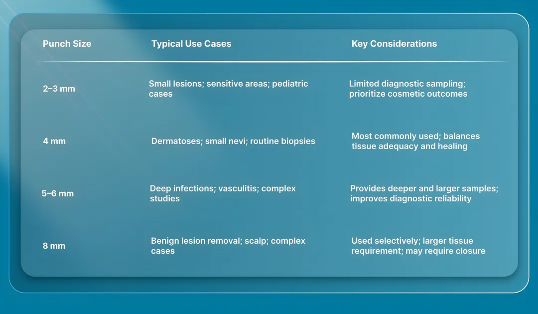 Different Types & Sizes of Punch Biopsy Tools in 2026