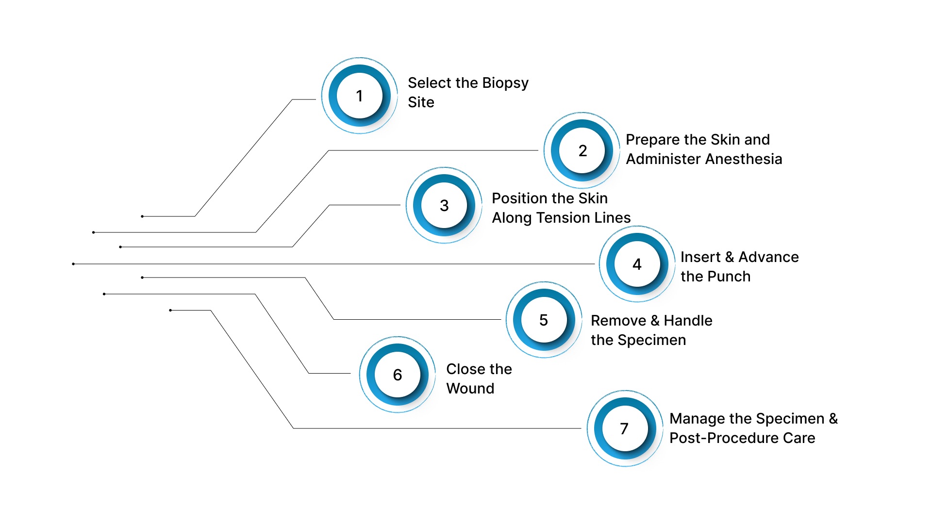 7 Steps to Approach Skin Biopsy Punch Procedure