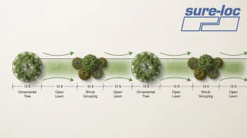 Infographic