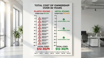 Infographic