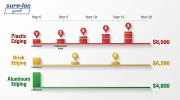 Infographic