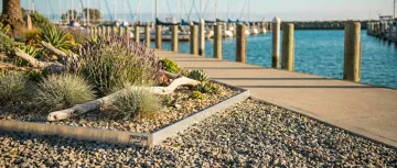 Marine & Coastal Environments