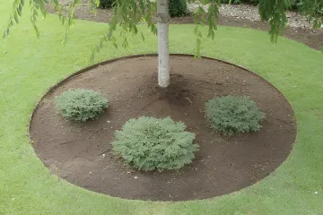 Parks and Recreation