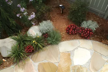 Parks and Recreation