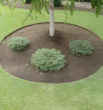 Commercial Landscaping