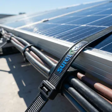 Solar & Renewable Energy