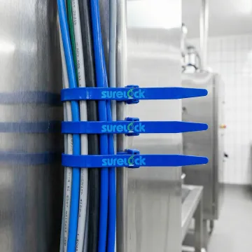 Food & Pharmaceutical