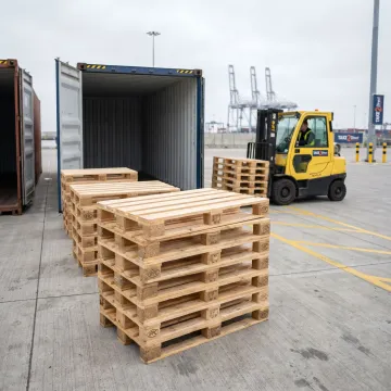 International Shipping & Logistics