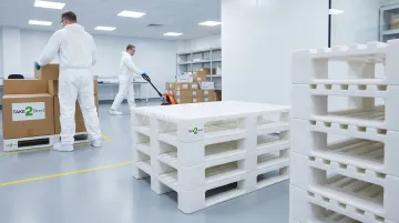 Pharmaceutical & Life Sciences