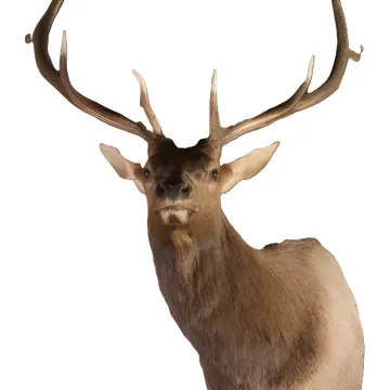 Industry Kits - Serving Specific Industries