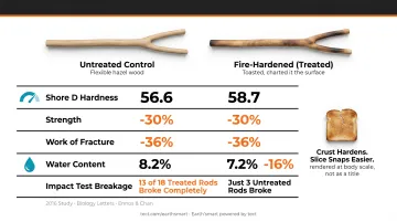 Fire-hardened versus untreated wood mechanical properties comparison data infographic
