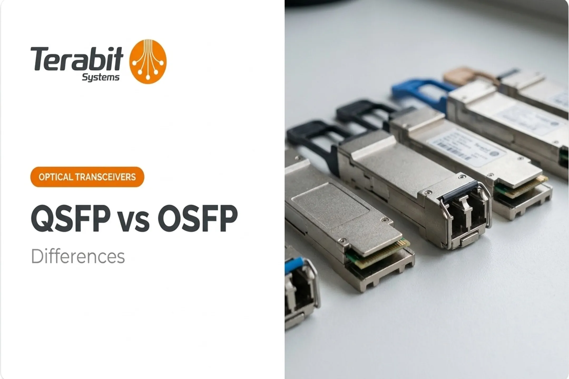 QSFP vs OSFP Differences