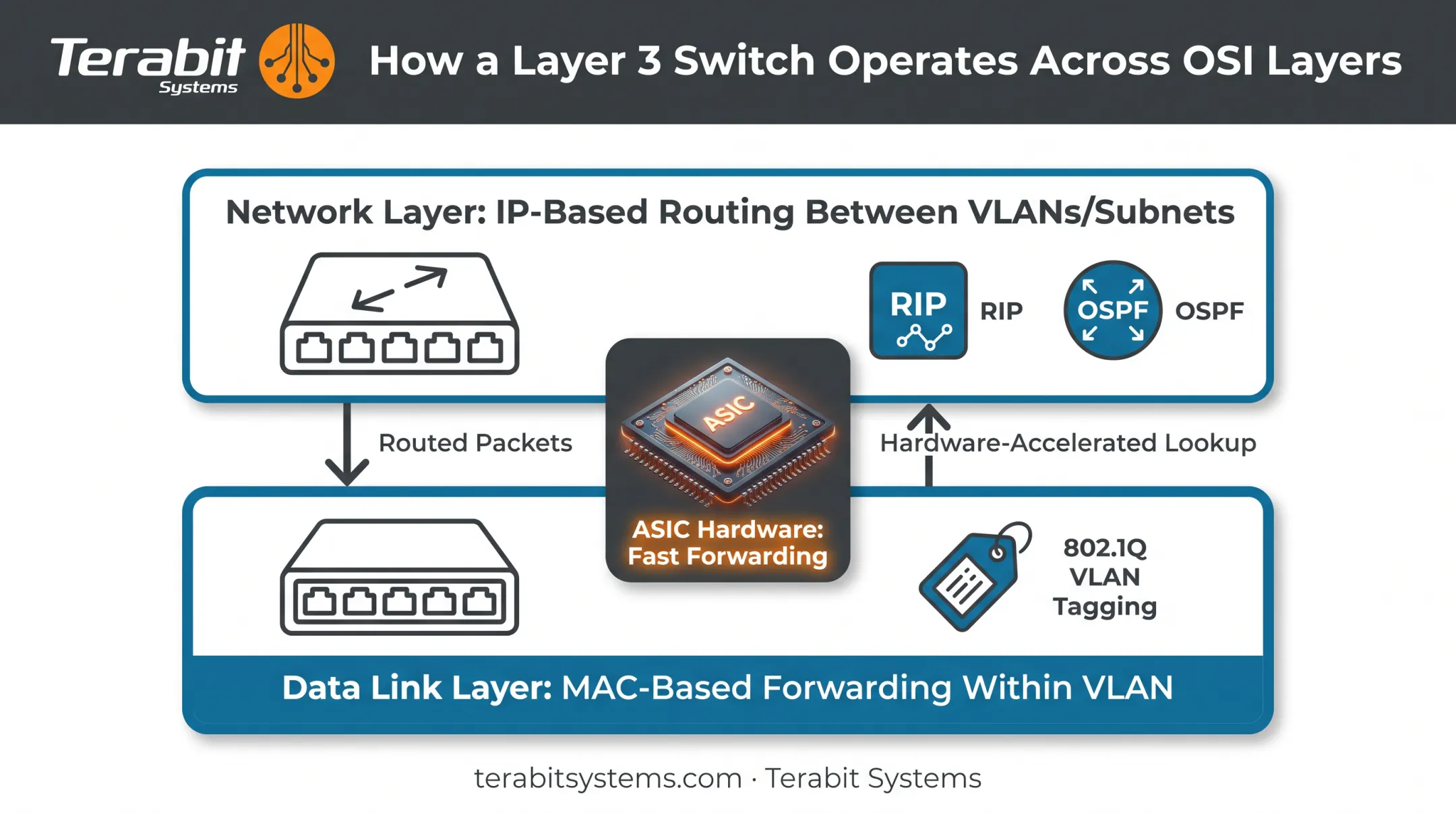 Layer 3 switch architecture diagram showing MAC and IP forwarding layers