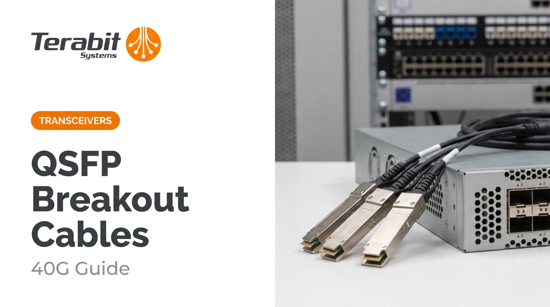 QSFP Breakout Cables: 40G Guide