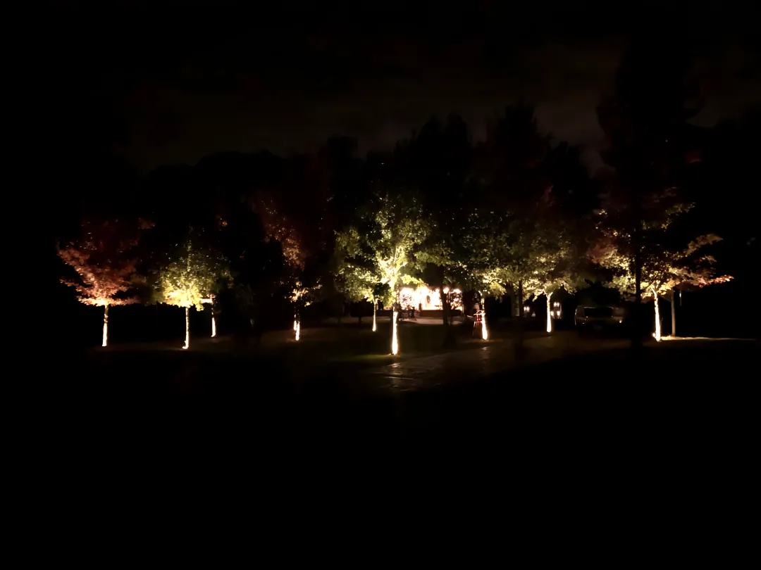 Landscape & Tree Lighting