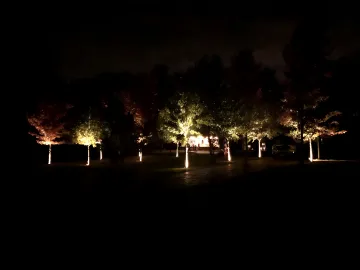 Landscape & Tree Lighting