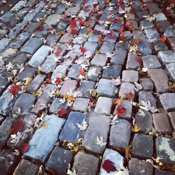 Historical Restoration