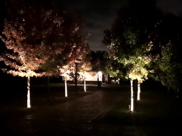 Landscape & Tree Lighting