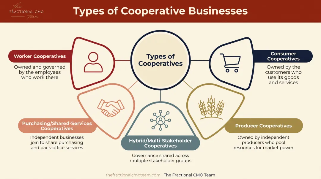 Five types of cooperative businesses worker consumer producer purchasing hybrid