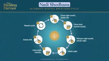 7-step alternate nostril breathing Nadi Shodhana technique cycle diagram