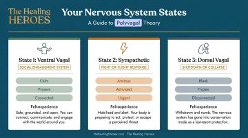 Polyvagal Theory three nervous system states comparison chart with symptoms