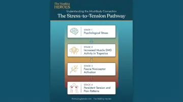 Chronic stress pathway from muscle tension to fascia pain infographic