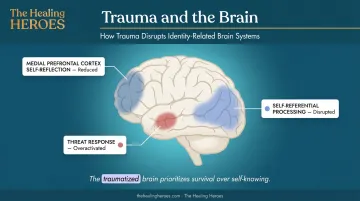Trauma impact on brain default mode network and self-referential processing diagram