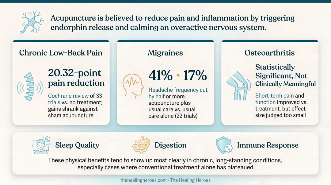 acupuncture pain reduction statistics for back pain migraines and arthritis