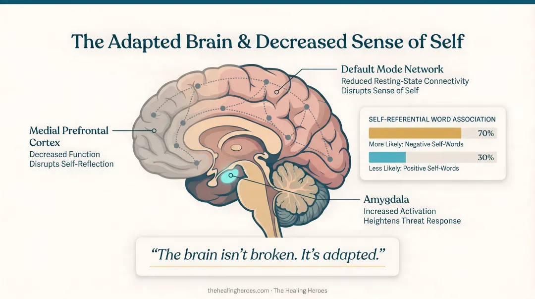 Trauma impact on brain default mode network and self-referential processing diagram