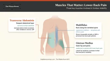Three key muscles targeted by Pilates for lower back pain relief