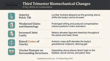 5 third-trimester body changes affecting posture balance and pelvic stability