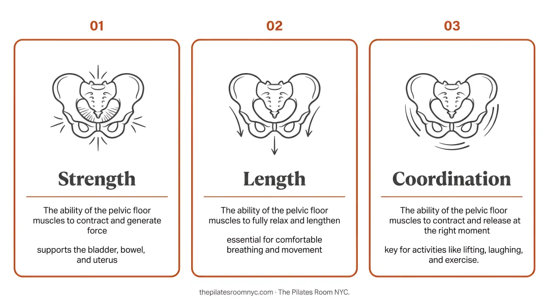 Three pelvic floor health requirements strength length and coordination infographic