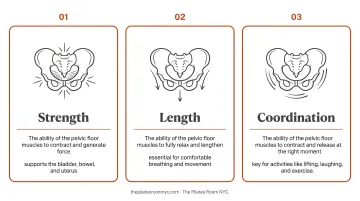 Three pelvic floor health requirements strength length and coordination infographic