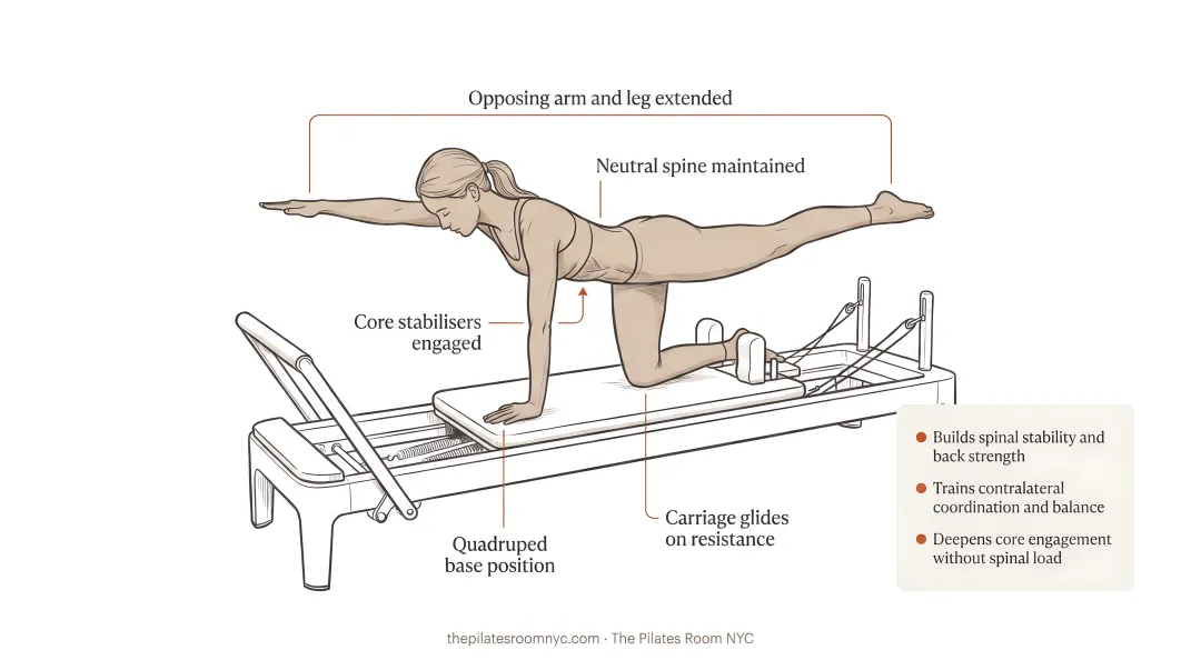 Person performing quadruped arm and leg extension exercise on Pilates Reformer carriage