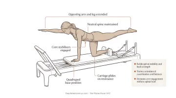 Person performing quadruped arm and leg extension exercise on Pilates Reformer carriage