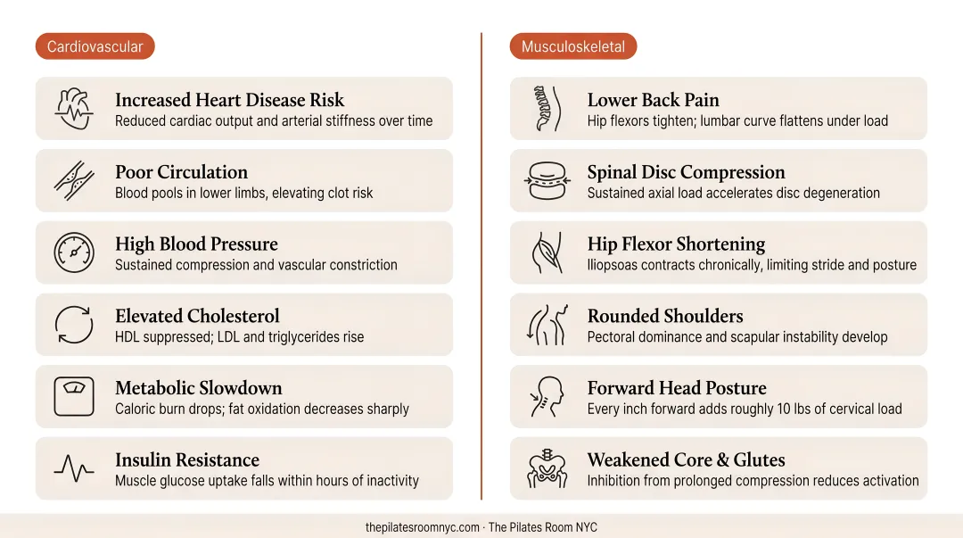 Sedentary sitting health risks infographic showing cardiovascular and musculoskeletal consequences