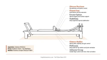 Classical Pilates Reformer apparatus session targeting posterior chain and hip stabilizers