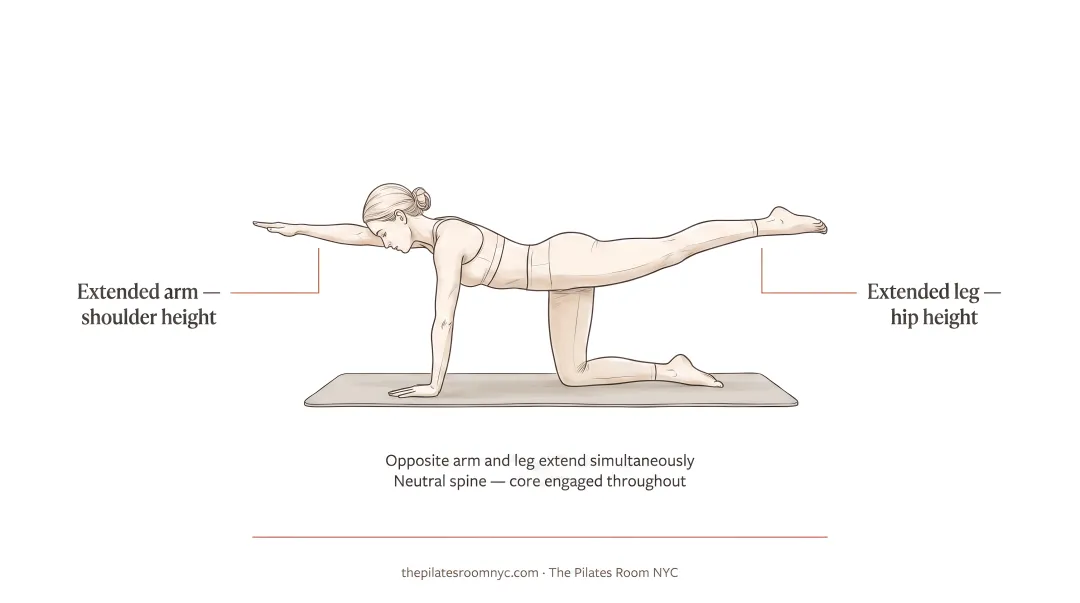 Person performing bird dog exercise on mat with opposite arm and leg extended