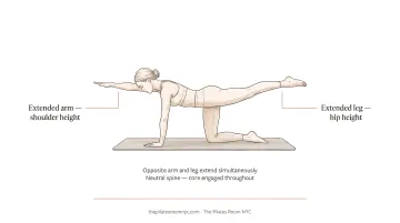 Person performing bird dog exercise on mat with opposite arm and leg extended