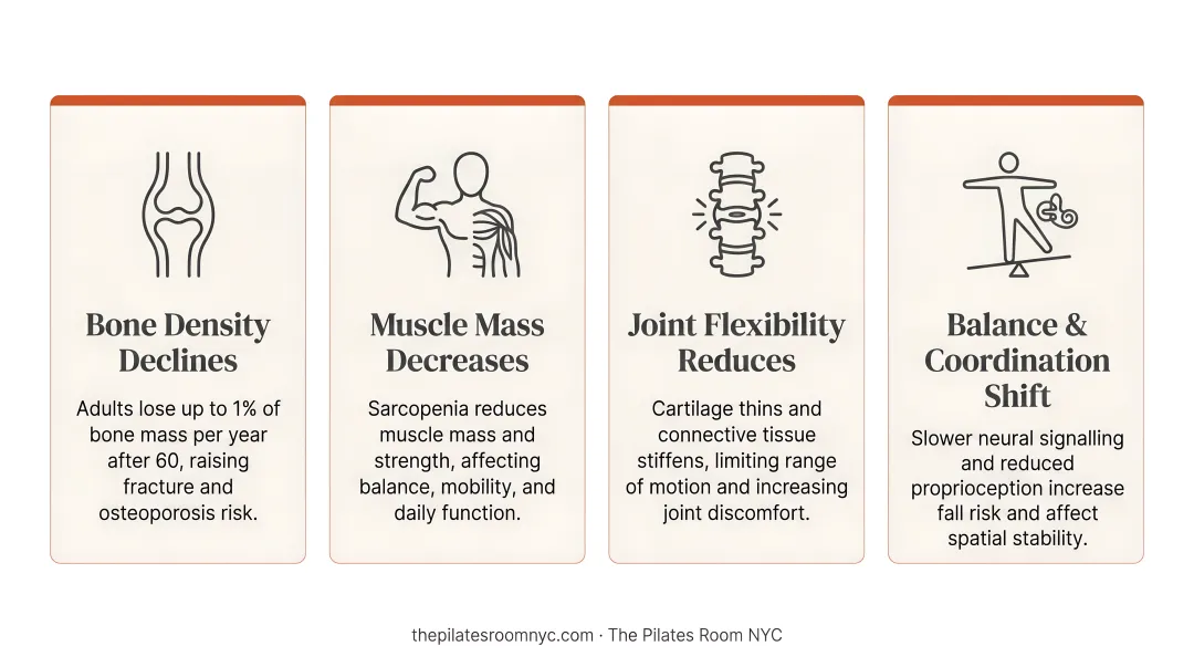 Four key age-related physiological changes affecting adults over 60 infographic