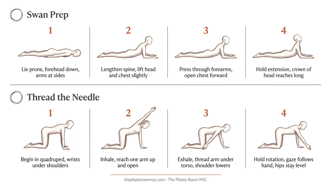 Swan prep swimming and thread the needle Pilates exercises illustrated step-by-step