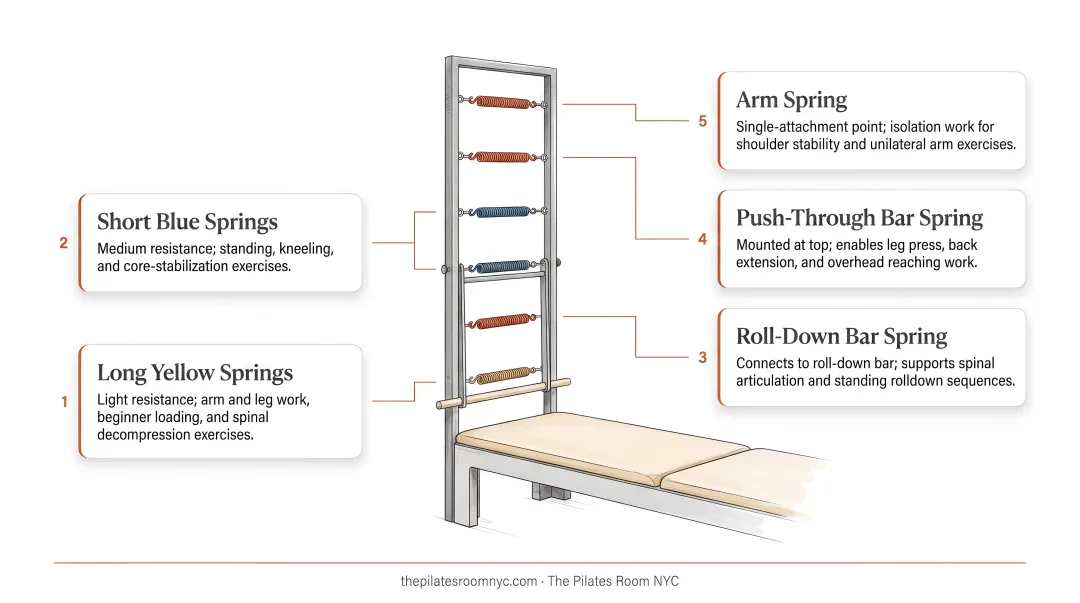Tower Pilates apparatus anatomy with five spring attachments labeled and explained
